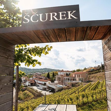 Posestvo Scurek Wine Bed & Breakfast Dobrovo Bagian luar foto