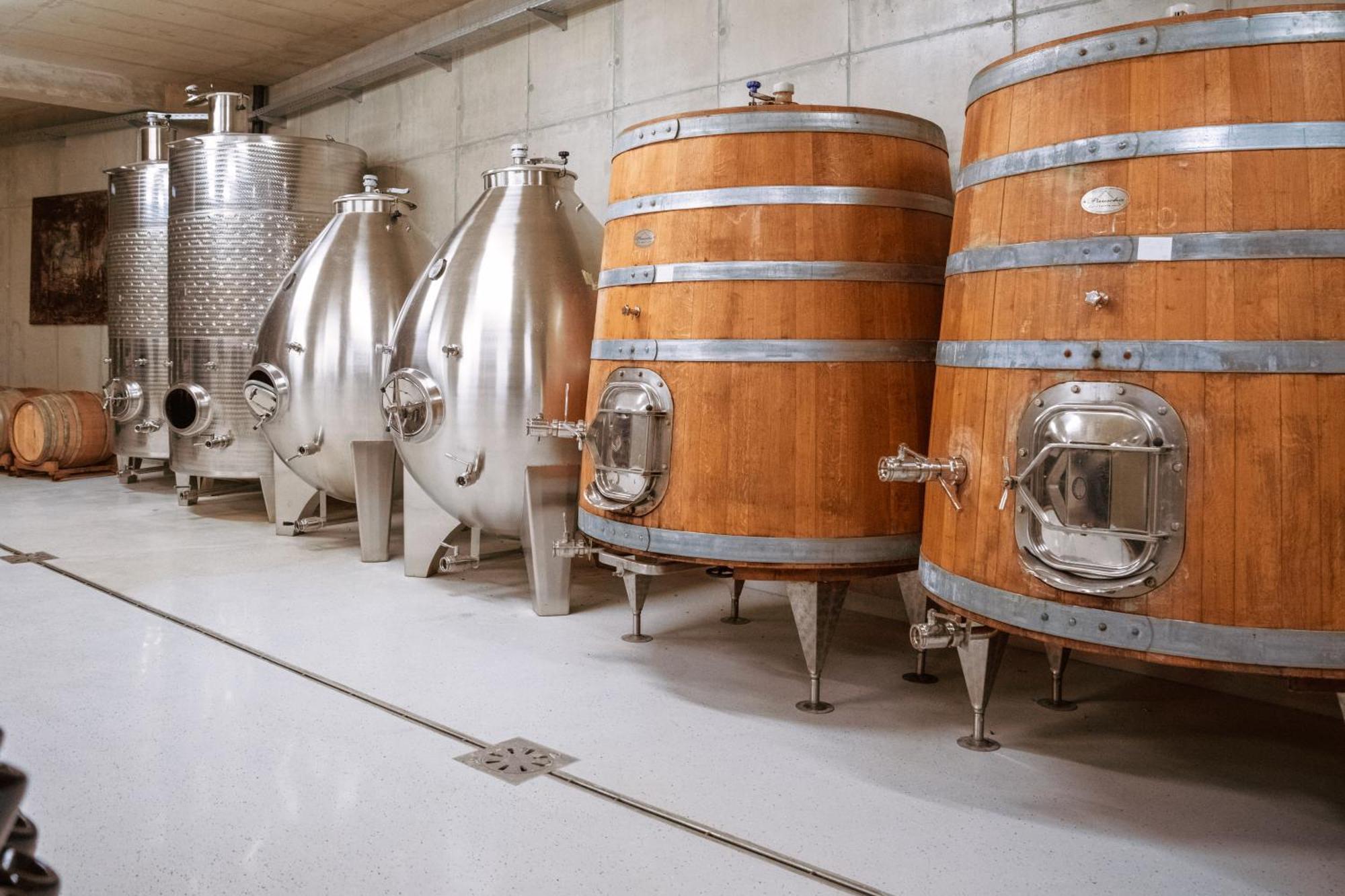 Posestvo Scurek Wine Bed & Breakfast Dobrovo Bagian luar foto
