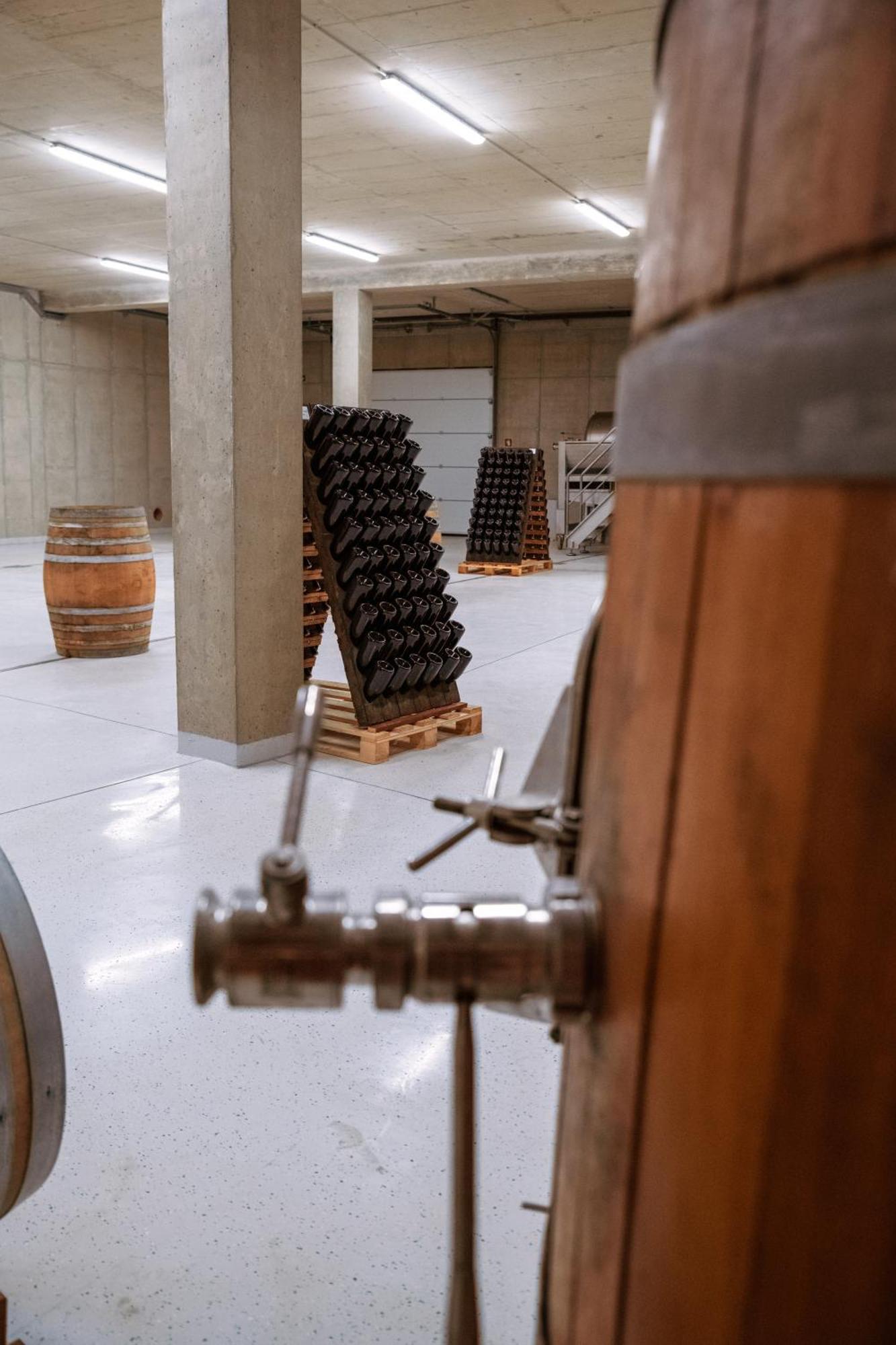 Posestvo Scurek Wine Bed & Breakfast Dobrovo Bagian luar foto