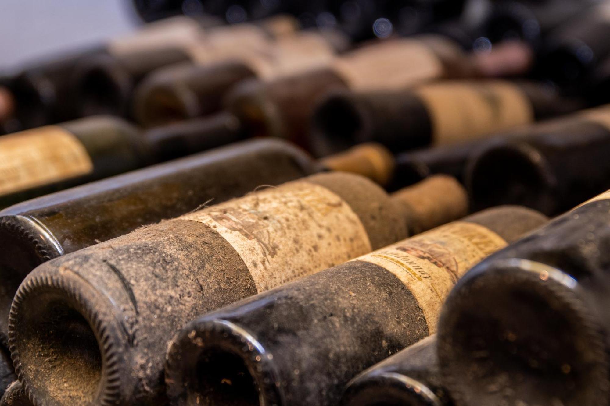 Posestvo Scurek Wine Bed & Breakfast Dobrovo Bagian luar foto
