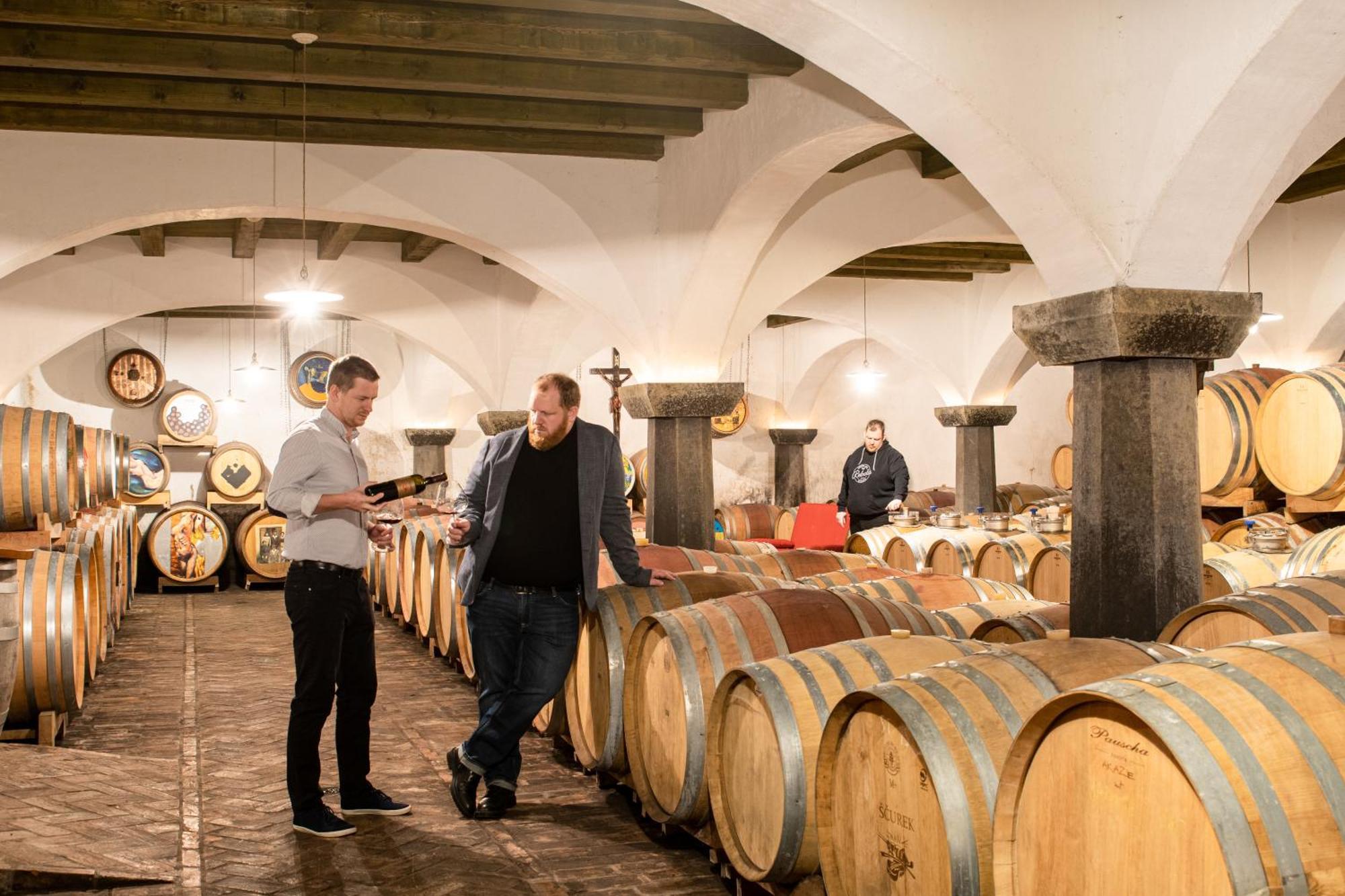 Posestvo Scurek Wine Bed & Breakfast Dobrovo Bagian luar foto