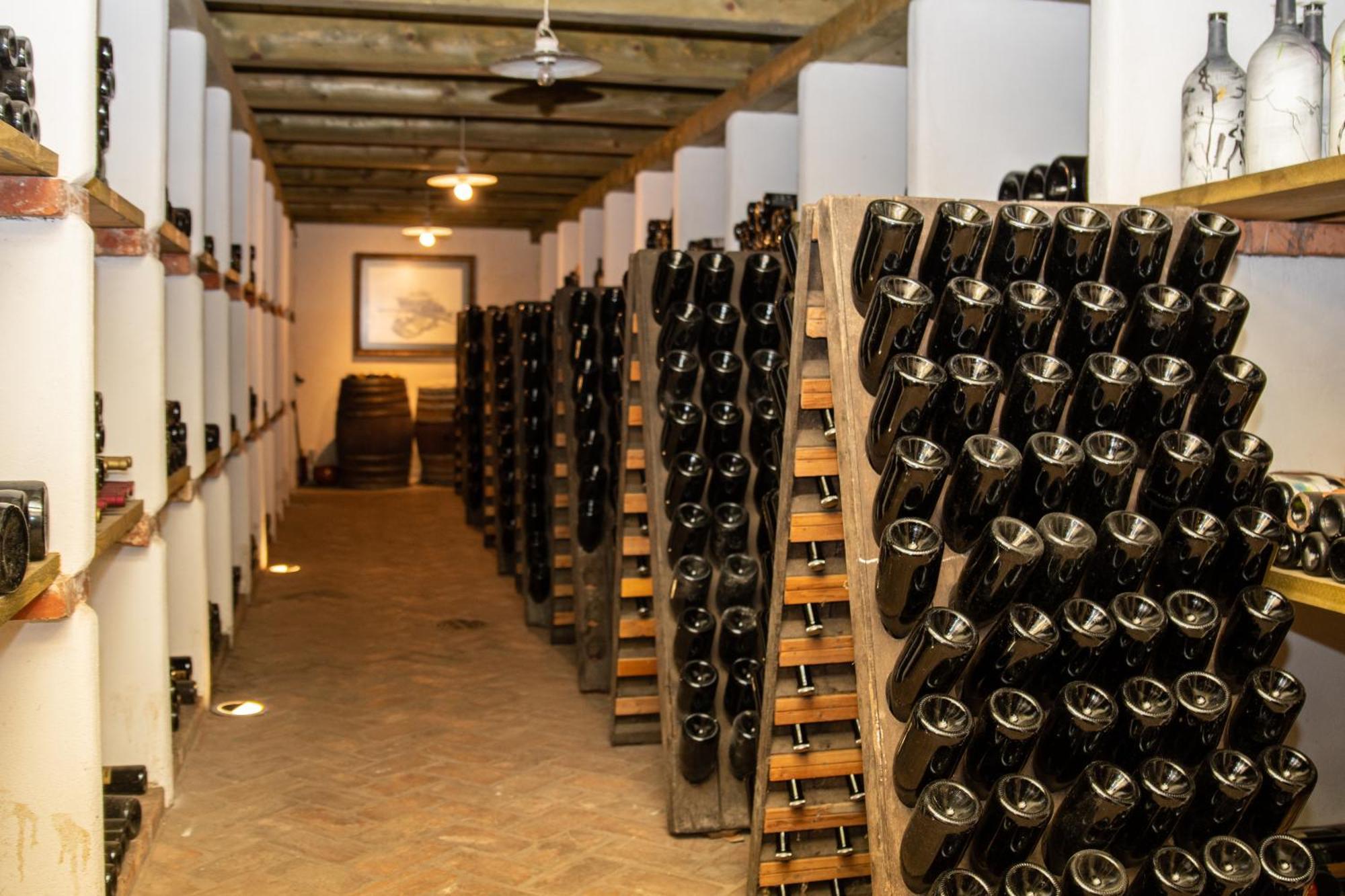 Posestvo Scurek Wine Bed & Breakfast Dobrovo Bagian luar foto