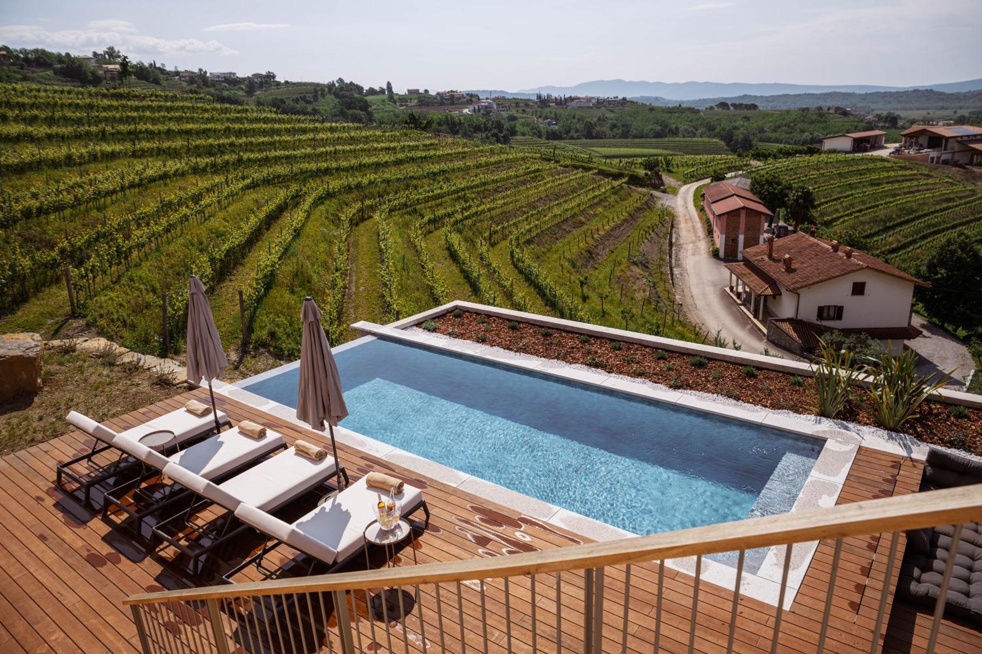 Posestvo Scurek Wine Bed & Breakfast Dobrovo Bagian luar foto