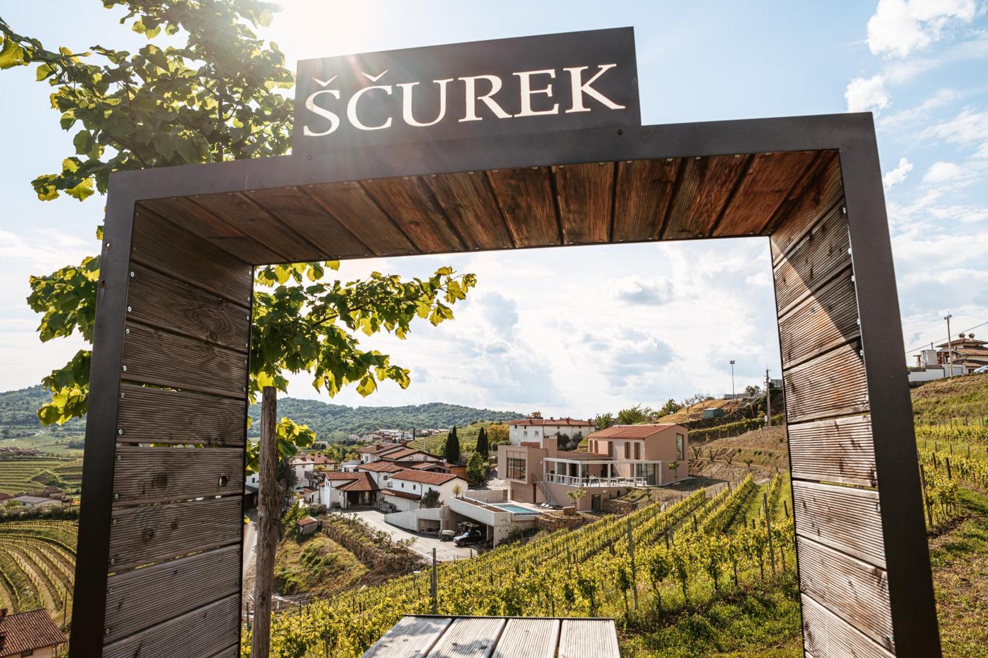 Posestvo Scurek Wine Bed & Breakfast Dobrovo Bagian luar foto