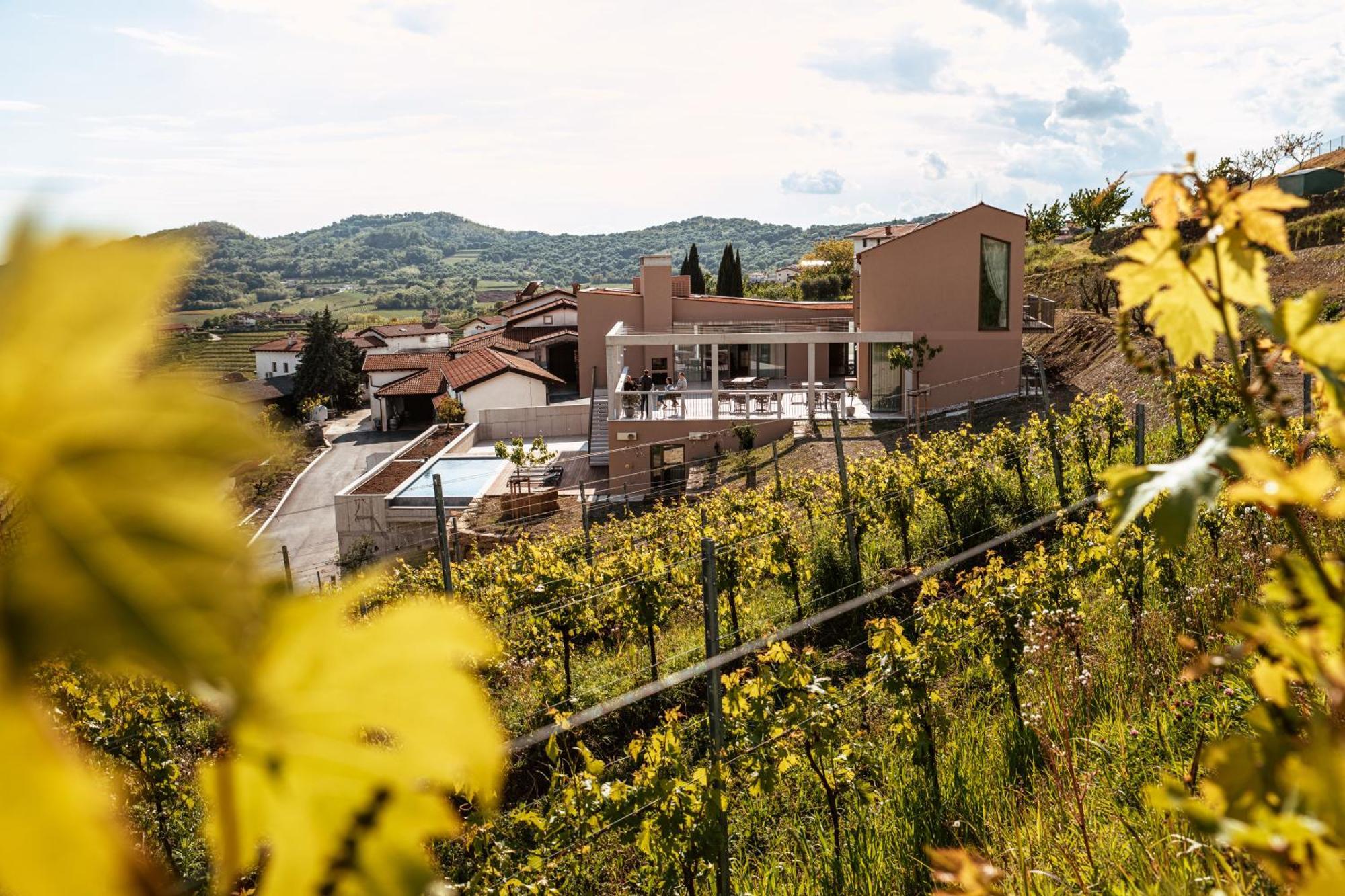 Posestvo Scurek Wine Bed & Breakfast Dobrovo Bagian luar foto