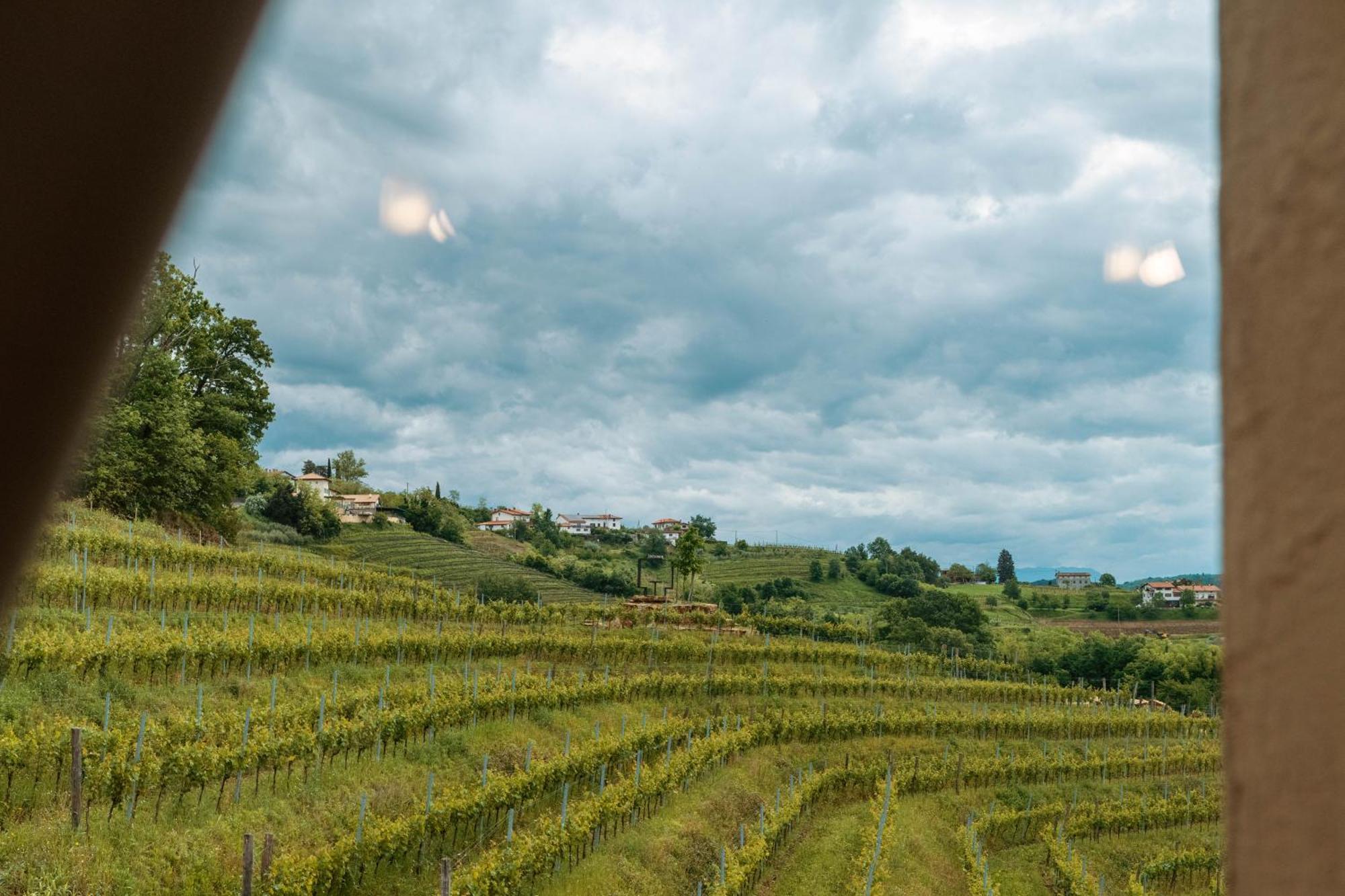 Posestvo Scurek Wine Bed & Breakfast Dobrovo Bagian luar foto