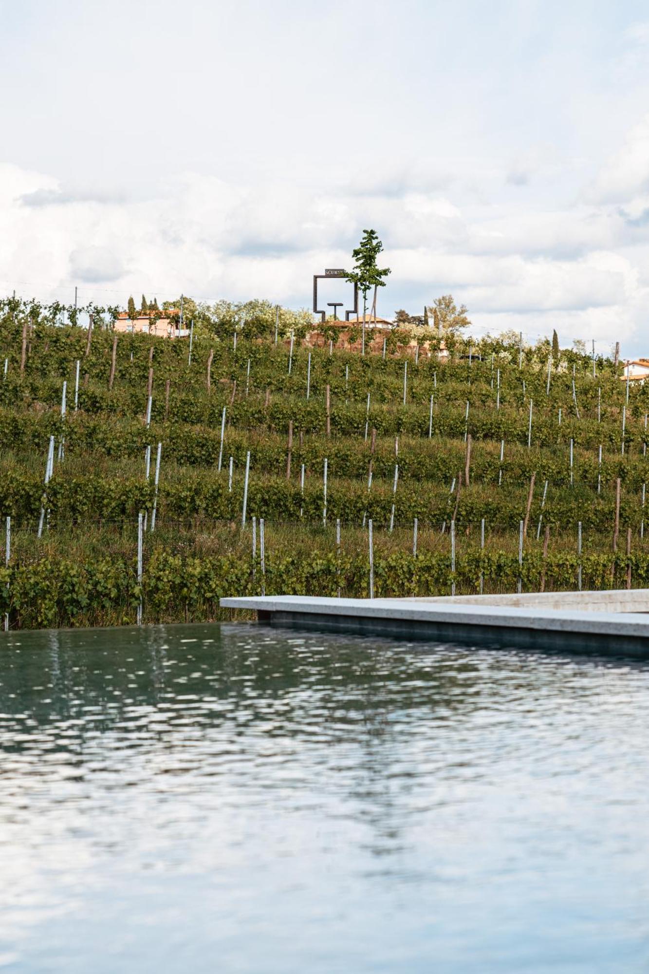Posestvo Scurek Wine Bed & Breakfast Dobrovo Bagian luar foto